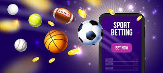 Experience the Thrill of Adventure at vivitr casino Experience the Thrill of Adventure at vivitr casino